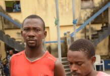 NRC Welcomes Court Judgment Jailing Two Vandals; Raises Alarm Over Fresh Attack on 33Kv Power Line in Rigasa