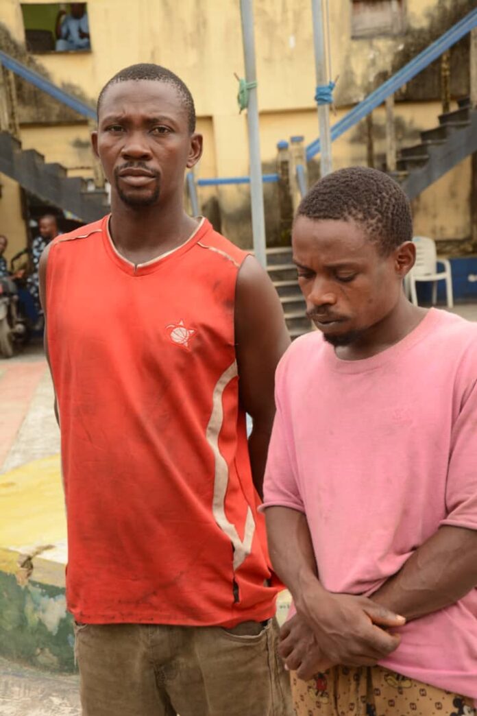 NRC Welcomes Court Judgment Jailing Two Vandals; Raises Alarm Over Fresh Attack on 33Kv Power Line in Rigasa