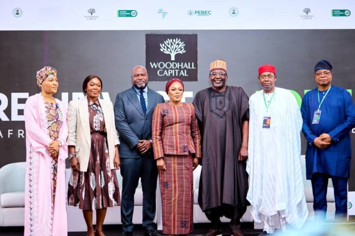 Woodhall Capital Targets $50 Billion in Global Investments to Drive Nigeria’s Development