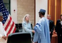 From gun-blazing to partners: Appraising President Tinubu’s diplomatic masterclass- By Dada Olusegun