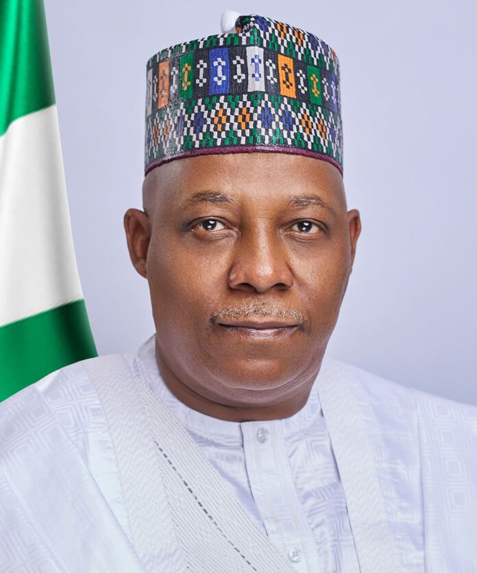 Vice-President-Kashim-Shettima