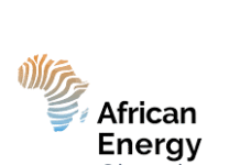 African Petroleum Ministers Snub Africa Energies Summit, Citing Local Content as Priority for Africa